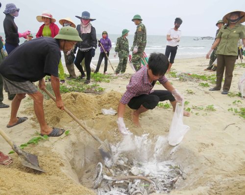 Phản biện kỹ trước khi công bố nguyên nhân cá chết